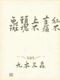 龟头上有红色的斑块不痛不痒