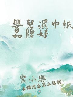 婴儿湿巾纸哪个品牌好