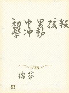 初中男孩叛逆厌学冲动