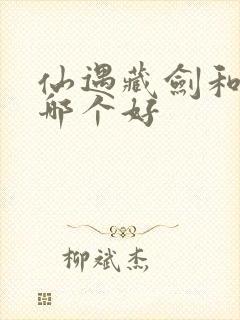 仙遇藏剑和怒剑哪个好