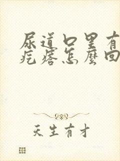 尿道口里有小肉疙瘩怎么回事