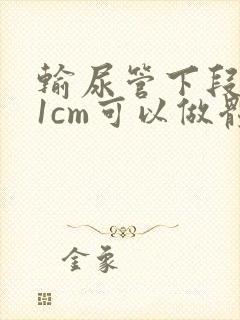 输尿管下段结石1cm可以做体外碎石吗