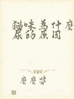 猫咪为什么会闭尿的原因