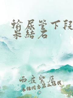 输尿管下段2毫米结石