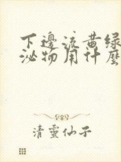 下边流黄绿色分泌物用什么药