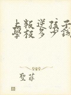 上叛逆孩子特训学校多少钱