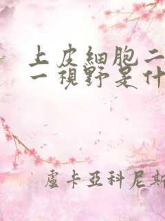 上皮细胞二分之一视野是什么意思