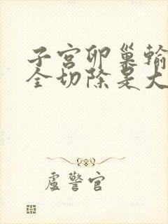 子宫卵巢输卵管全切除是大手术吗