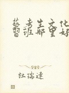 艺考生文化课补习班哪里好