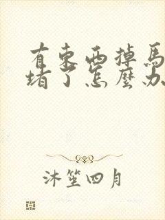 有东西掉马桶里堵了怎么办