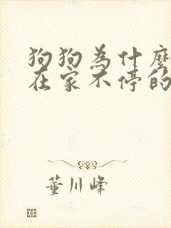 狗狗为什么一直在家不停的走