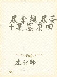 尿常规尿蛋白1+是怎么回事