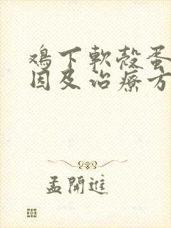 鸡下软壳蛋的原因及治疗方法