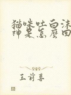 猫咪吐白沫没精神是怎么回事