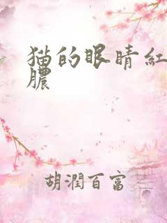 猫的眼睛红肿流脓