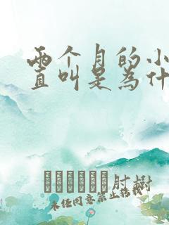 两个月的小猫一直叫是为什么