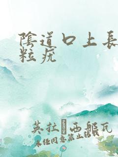 阴道口上长小米粒疣