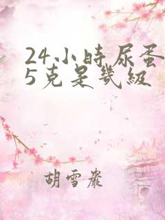 24小时尿蛋白5克是几级