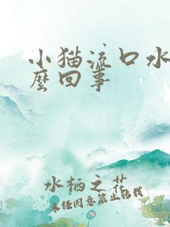 小猫流口水是怎么回事