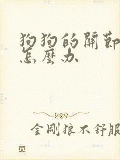 狗狗的关节肿了怎么办