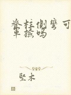 脊柱侧弯可以过军检吗