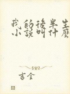 我的后半生原著小说叫什么