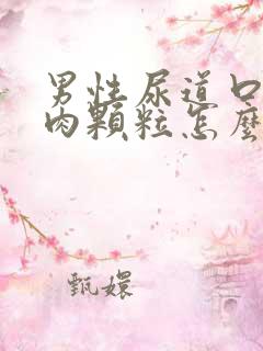 男性尿道口有小肉颗粒怎么回事