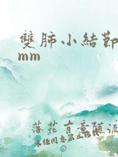 双肺小结节影5mm