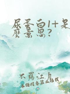 尿蛋白1+是什么意思?