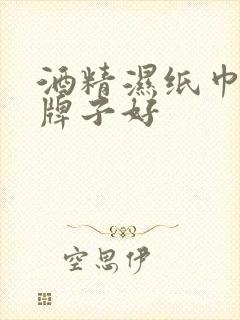 酒精湿纸巾哪个牌子好