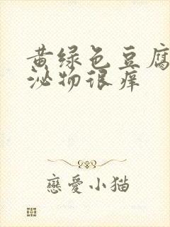 黄绿色豆腐渣分泌物很痒