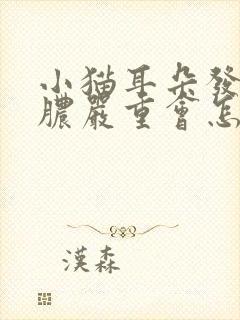 小猫耳朵发炎流脓严重会怎样