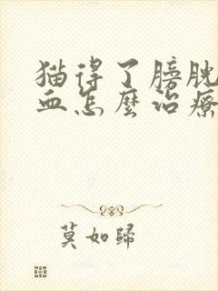 猫得了膀胱炎尿血怎么治疗