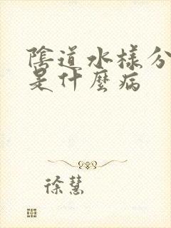 阴道水样分泌物是什么病