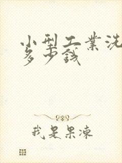 小型工业洗衣机多少钱