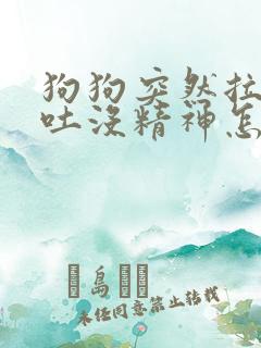 狗狗突然拉稀呕吐没精神怎么办