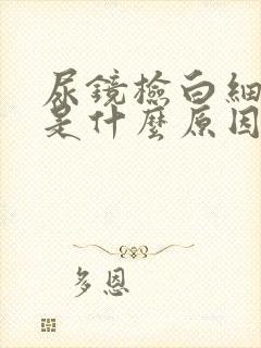 尿镜检白细胞高是什么原因引起的