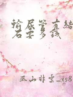 输尿管有结石排石要多钱