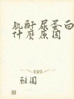 肌酐尿蛋白高是什么原因