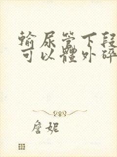 输尿管下段结石可以体外碎石