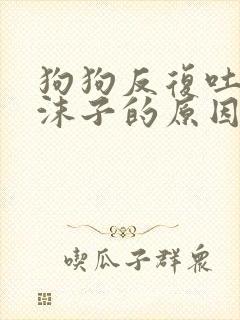 狗狗反复吐白色沫子的原因