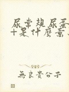 尿常规尿蛋白++是什么意思