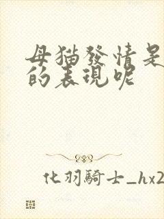 母猫发情是怎样的表现呢