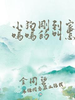 小狗刚到家一直呜呜的叫怎么办