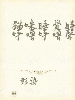 猫咪睡觉时发出呼噜呼噜声音