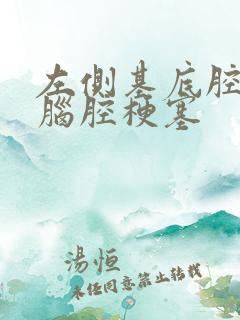 左侧基底腔隙性脑腔梗塞