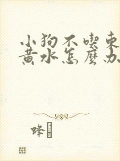 小狗不吃东西吐黄水怎么办