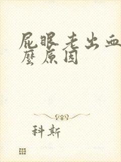 屁眼老出血是什么原因