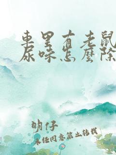 车里有老鼠的屎尿味怎么除味