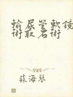 输尿管软镜碎石术取石术